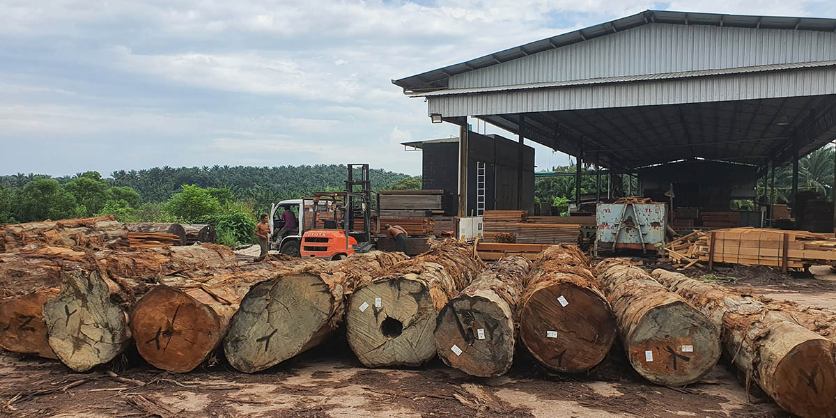 Kamwo Timber Factory